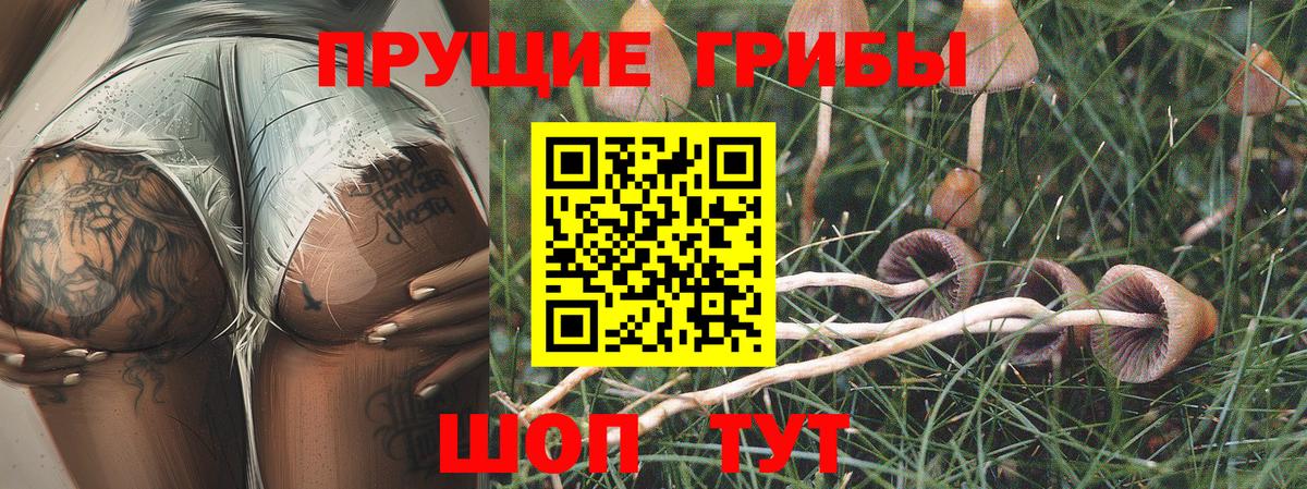 Псилоцибиновые грибы мицелий  Галлюциногенные грибы Psilocybe  Усинск  Вход с VPN 