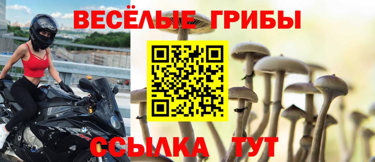Псилоцибиновые грибы Cubensis Усинск